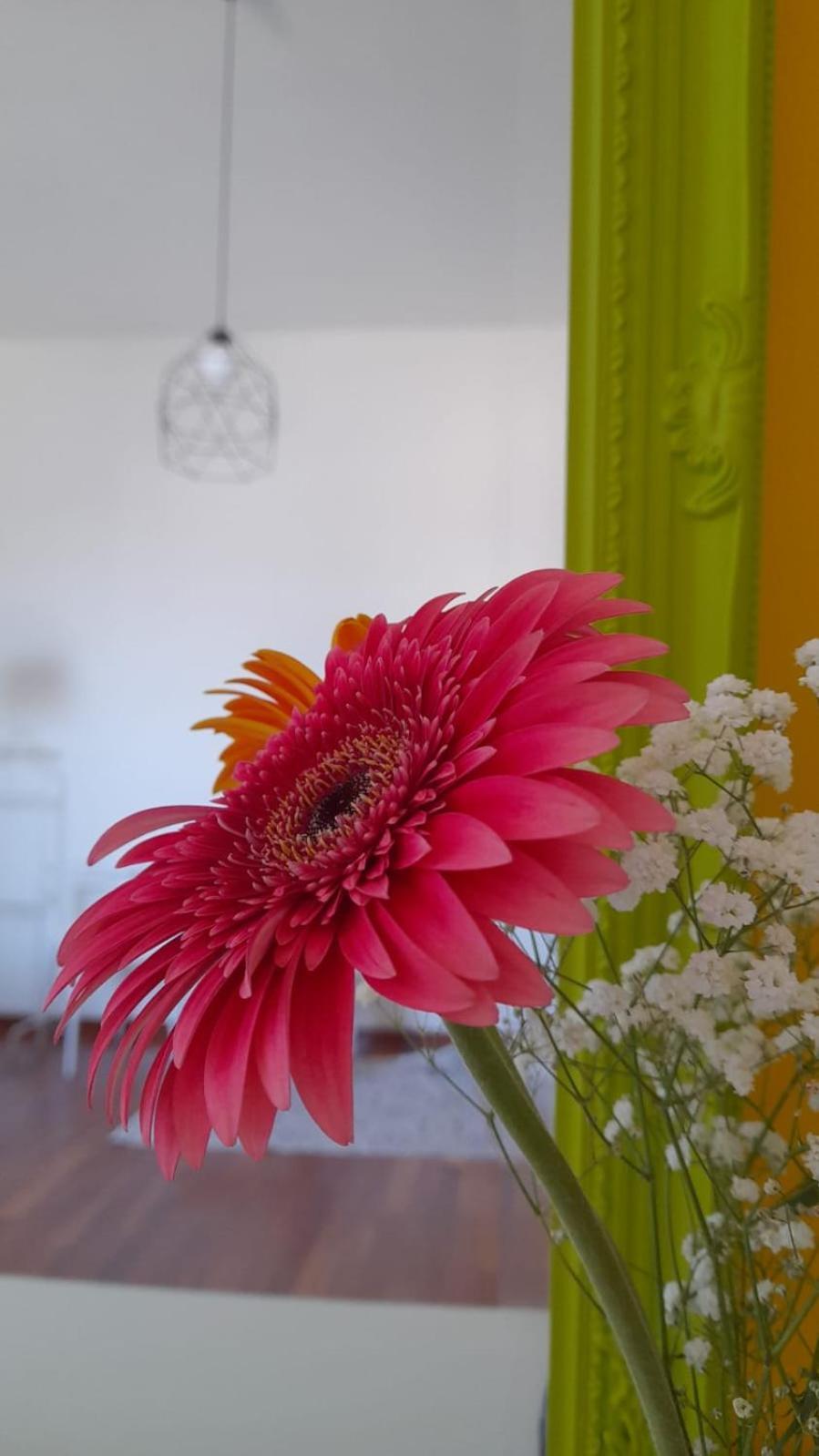 Sole Amare Guest House Бари Экстерьер фото